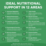 Chart detailing ideal nutritional support in 12 areas with icons and text on a green background.