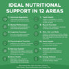 Chart detailing ideal nutritional support in 12 areas with icons and text on a green background.