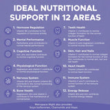 Menopace Night highlights 12 health benefits, including hormone regulation and energy release.